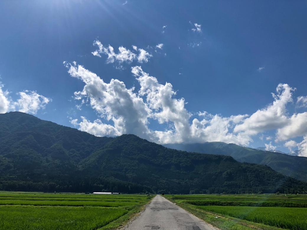 The Guest House Japan Hakuba Exterior photo